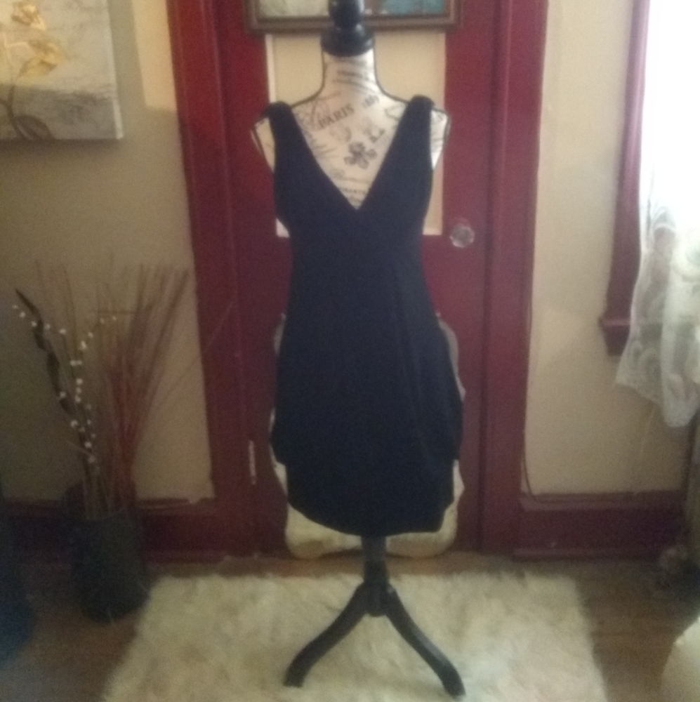 Eli J. Velour  Dress